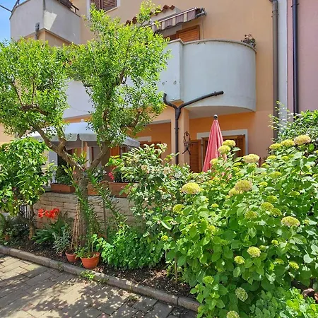 Valentino * Novigrad Istria